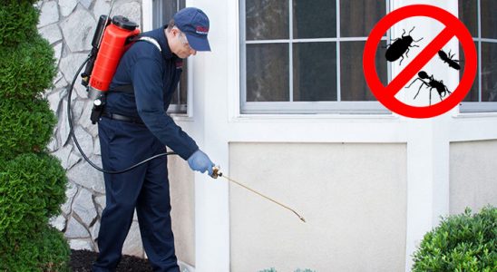 Yağlıdere Uçan Haşere İlaçlama böcek ilaçlama ve haşere kontrolü — ilaclama-tr.com